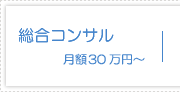 総合コンサル 月額30万円〜