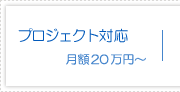 プロジェクト対応 月額20万円〜